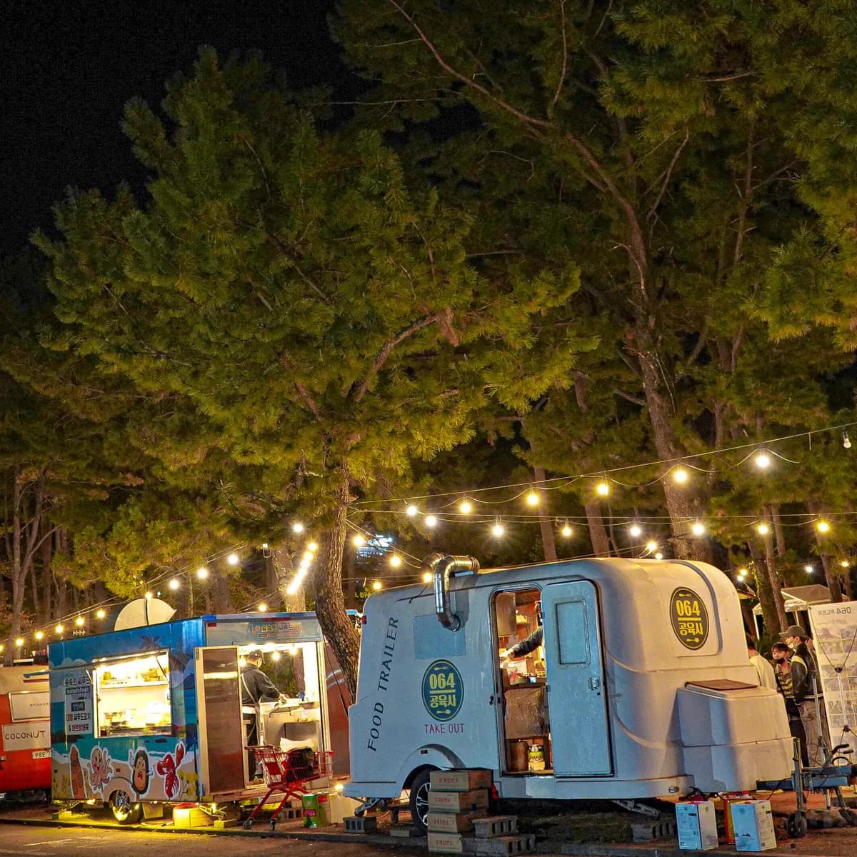 arboretum-night-market