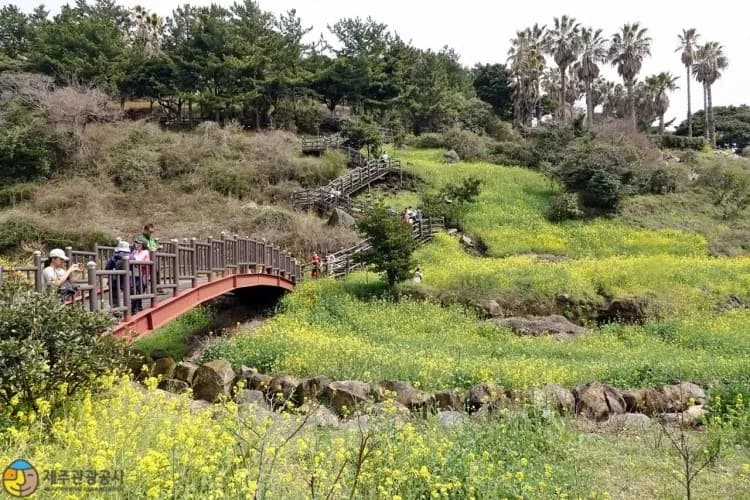 eongdeongmul-valley