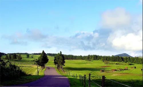 isidore-ranch