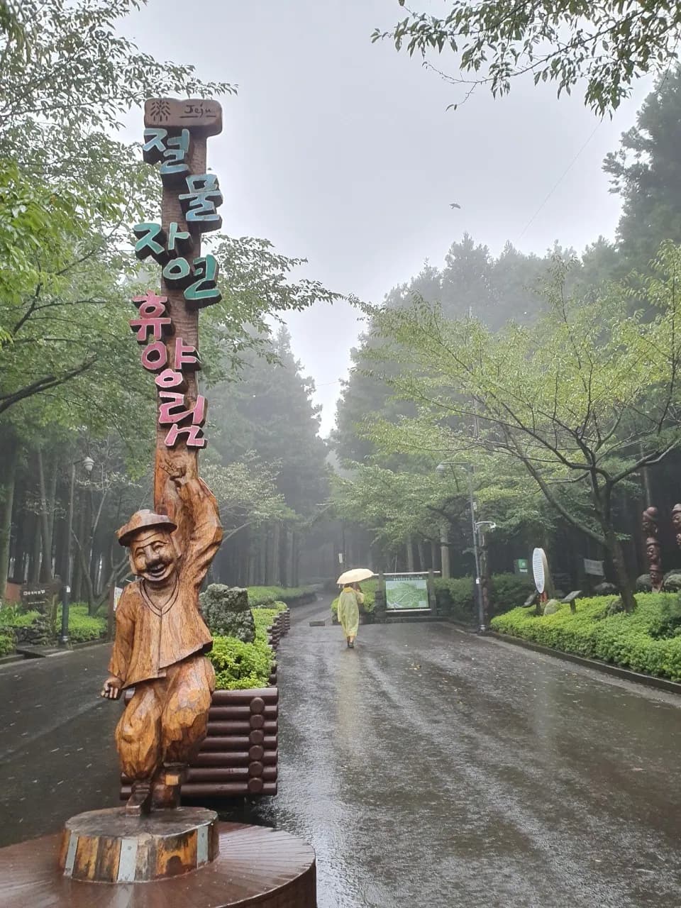 jeolmul-forest