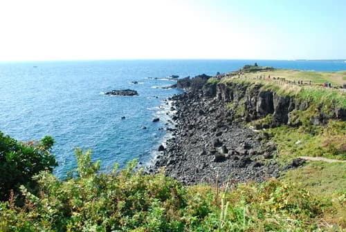seopjikoji